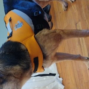 Dog life vest flotation harness orange black zip close size medium (47 - 64lbs)